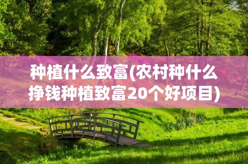 种植什么致富(农村种什么挣钱种植致富20个好项目)