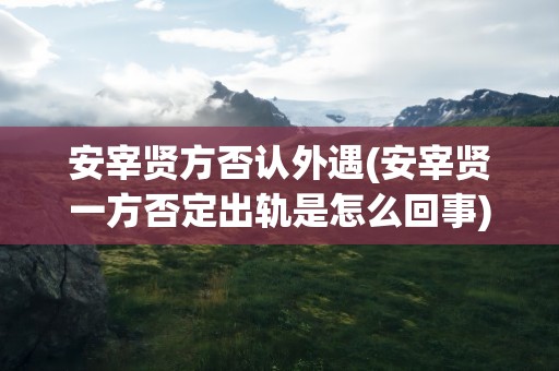 安宰贤方否认外遇(安宰贤一方否定出轨是怎么回事)