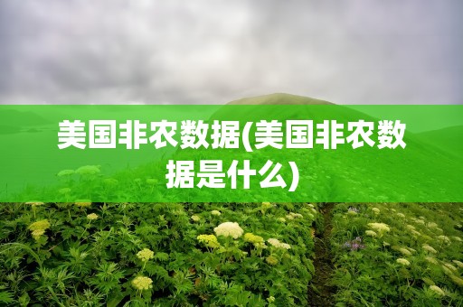 美国非农数据(美国非农数据是什么)