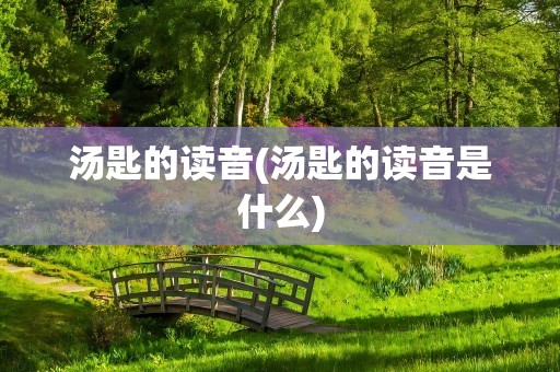 汤匙的读音(汤匙的读音是什么)