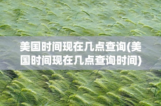 美国时间现在几点查询(美国时间现在几点查询时间)