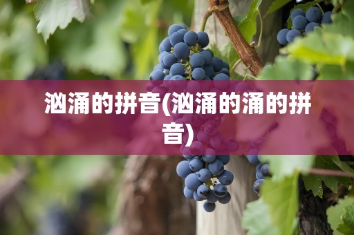 汹涌的拼音(汹涌的涌的拼音)