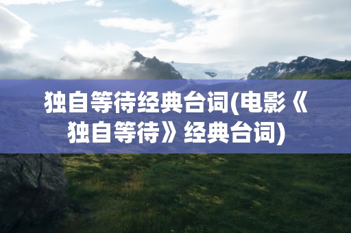 独自等待经典台词(电影《独自等待》经典台词)