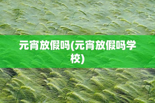元宵放假吗(元宵放假吗学校)