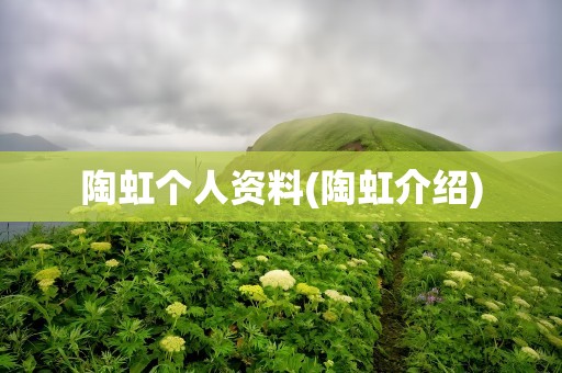 陶虹个人资料(陶虹介绍)