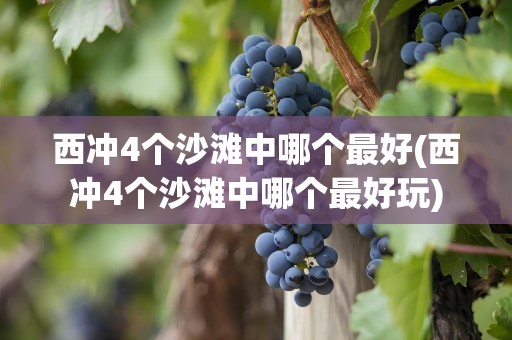 西冲4个沙滩中哪个最好(西冲4个沙滩中哪个最好玩)
