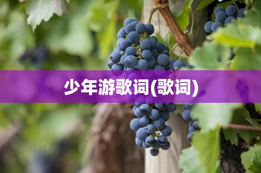 少年游歌词(歌词)