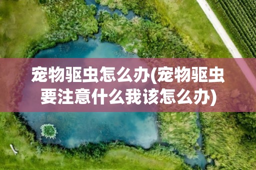 宠物驱虫怎么办(宠物驱虫要注意什么我该怎么办)