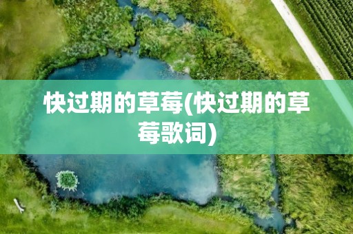 快过期的草莓(快过期的草莓歌词)