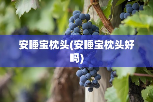 安睡宝枕头(安睡宝枕头好吗)