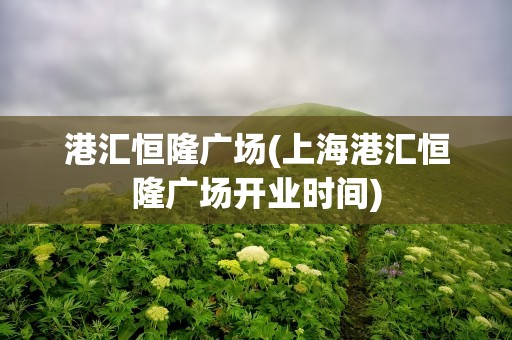 港汇恒隆广场(上海港汇恒隆广场开业时间)