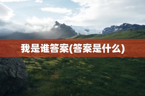 我是谁答案(答案是什么)