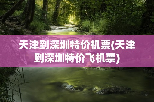 天津到深圳特价机票(天津到深圳特价飞机票)