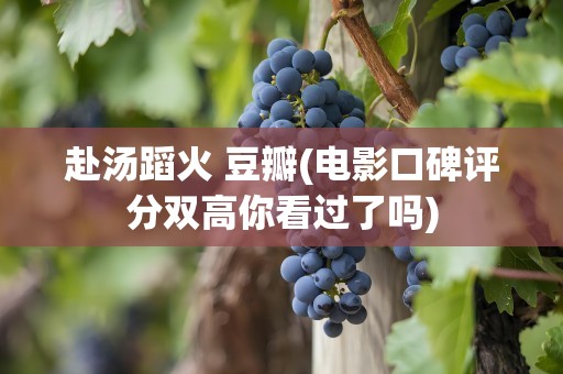 赴汤蹈火 豆瓣(电影口碑评分双高你看过了吗)