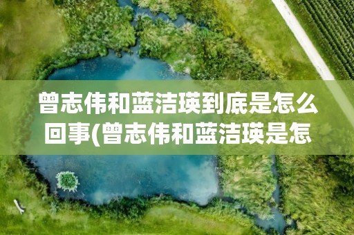 曾志伟和蓝洁瑛到底是怎么回事(曾志伟和蓝洁瑛是怎么回事)