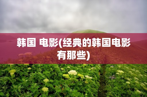 韩国 电影(经典的韩国电影有那些)