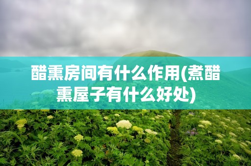 醋熏房间有什么作用(煮醋熏屋子有什么好处)