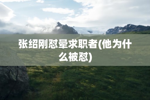 张绍刚怼晕求职者(他为什么被怼)