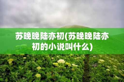 苏晚晚陆亦初(苏晚晚陆亦初的小说叫什么)