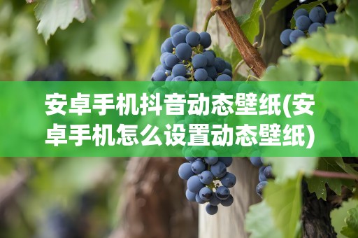 安卓手机抖音动态壁纸(安卓手机怎么设置动态壁纸)