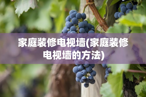 家庭装修电视墙(家庭装修电视墙的方法)