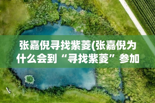 张嘉倪寻找紫菱(张嘉倪为什么会到“寻找紫菱”参加比赛那是什么时候的事)