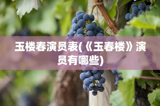 玉楼春演员表(《玉春楼》演员有哪些)