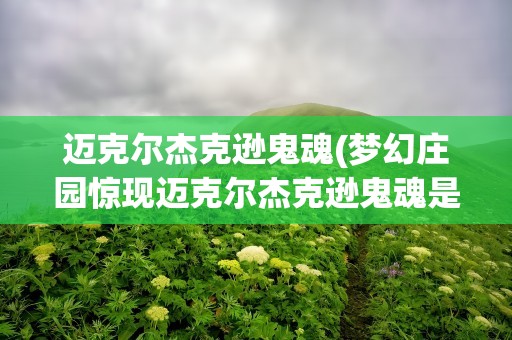 迈克尔杰克逊鬼魂(梦幻庄园惊现迈克尔杰克逊鬼魂是怎么回事)