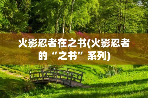 火影忍者在之书(火影忍者的“之书”系列)
