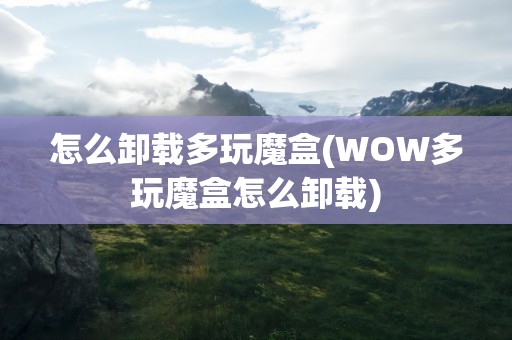 怎么卸载多玩魔盒(WOW多玩魔盒怎么卸载)
