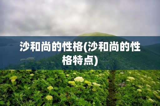 沙和尚的性格(沙和尚的性格特点)