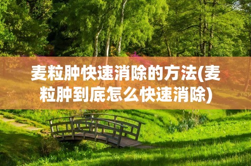 麦粒肿快速消除的方法(麦粒肿到底怎么快速消除)