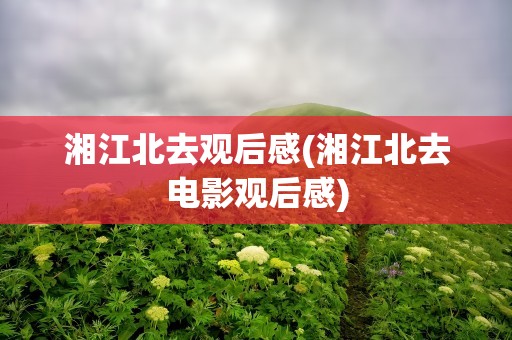 湘江北去观后感(湘江北去电影观后感)
