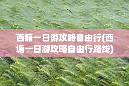西塘一日游攻略自由行(西塘一日游攻略自由行路线)