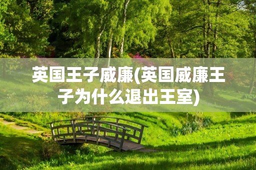 英国王子威廉(英国威廉王子为什么退出王室)
