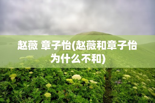 赵薇 章子怡(赵薇和章子怡为什么不和)