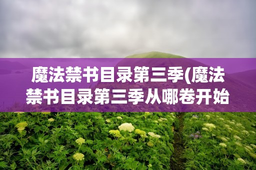 魔法禁书目录第三季(魔法禁书目录第三季从哪卷开始)