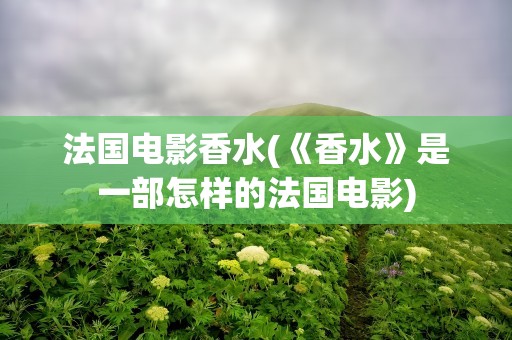 法国电影香水(《香水》是一部怎样的法国电影)