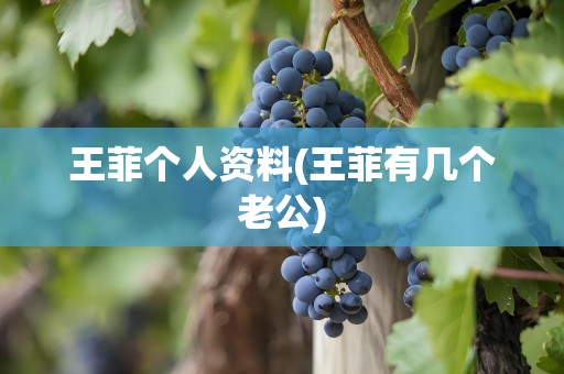 王菲个人资料(王菲有几个老公)