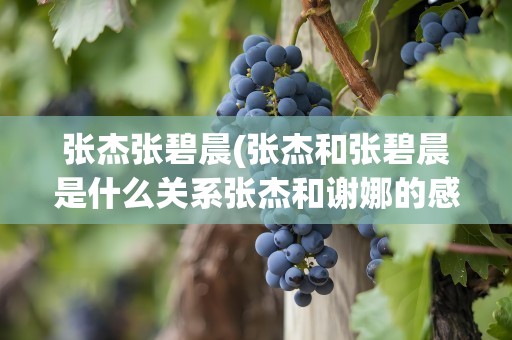 张杰张碧晨(张杰和张碧晨是什么关系张杰和谢娜的感情怎么样)