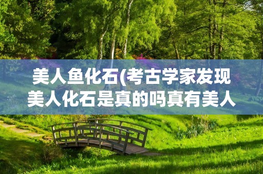 美人鱼化石(考古学家发现美人化石是真的吗真有美人鱼吗)