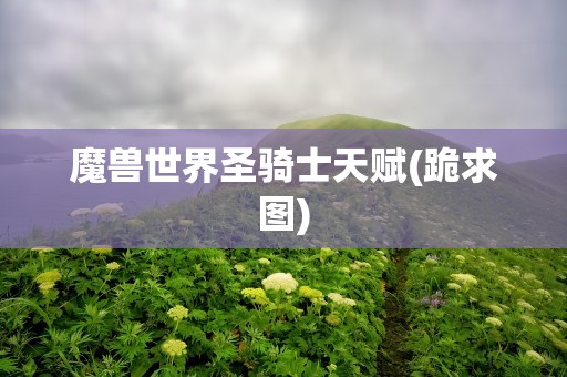 魔兽世界圣骑士天赋(跪求图)