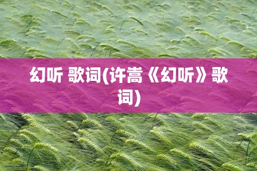 幻听 歌词(许嵩《幻听》歌词)