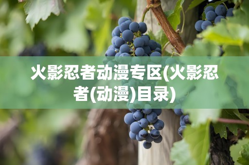火影忍者动漫专区(火影忍者(动漫)目录)