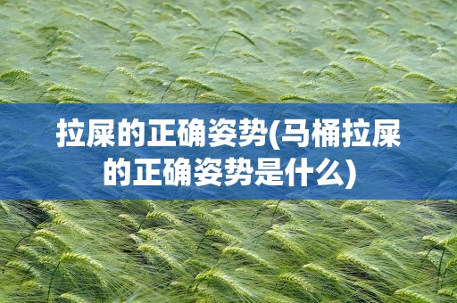 拉屎的正确姿势(马桶拉屎的正确姿势是什么)