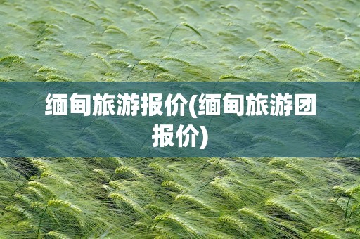 缅甸旅游报价(缅甸旅游团报价)