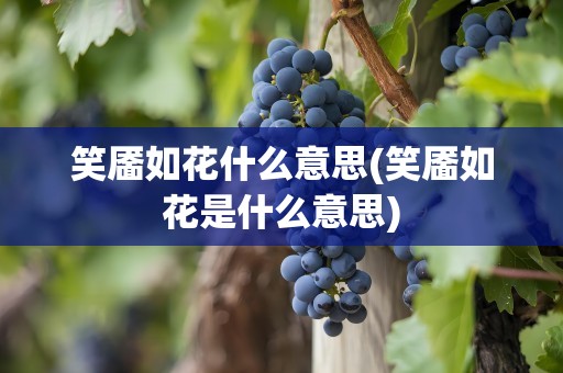 笑靥如花什么意思(笑靥如花是什么意思)