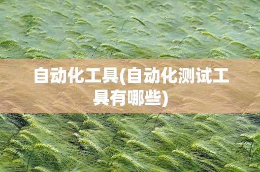 自动化工具(自动化测试工具有哪些)