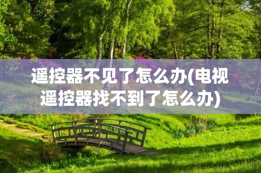 遥控器不见了怎么办(电视遥控器找不到了怎么办)