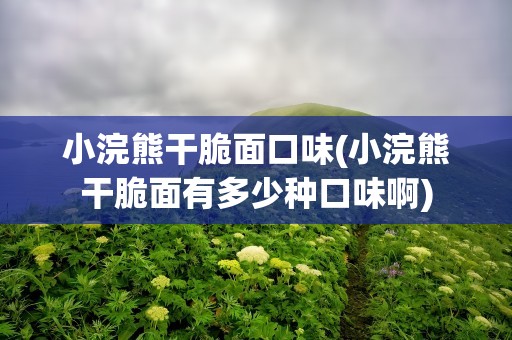小浣熊干脆面口味(小浣熊干脆面有多少种口味啊)